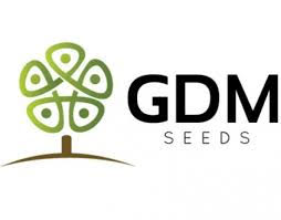 gdm